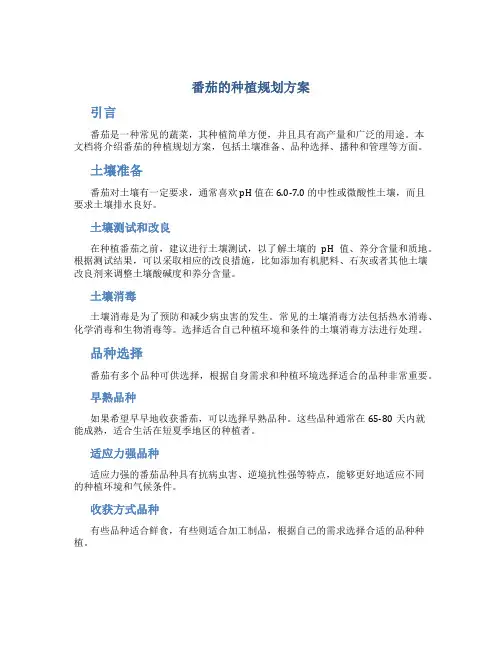 番茄的种植规划方案