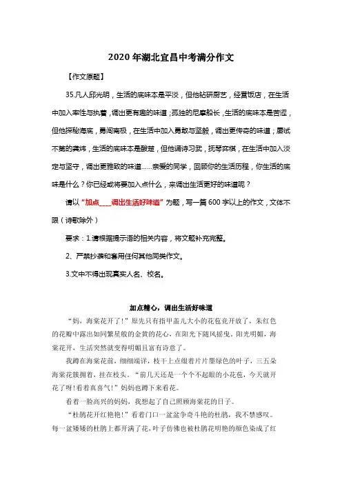 2020年湖北宜昌中考满分作文《加点精心,调出生活好味道》