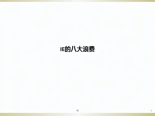 IE的大浪费PPT课件