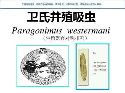 并殖吸虫知识讲座课件