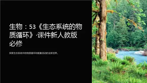 生物：53《生态系统的物质循环》·课件新人教版必修