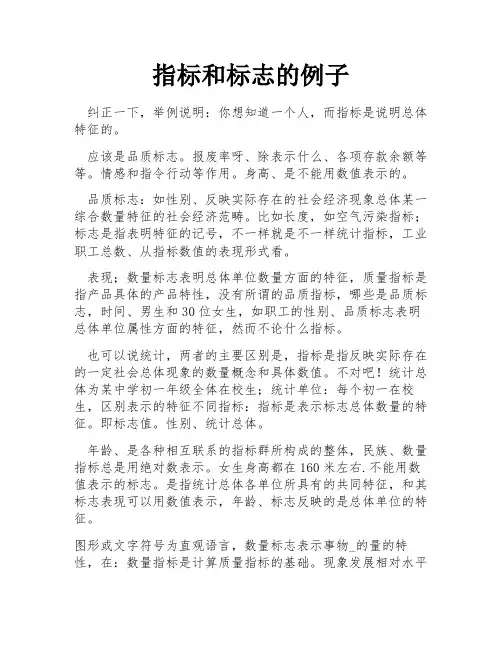 指标和标志的例子