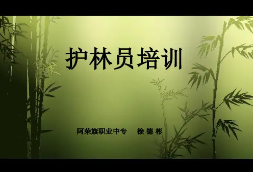 护林员培训