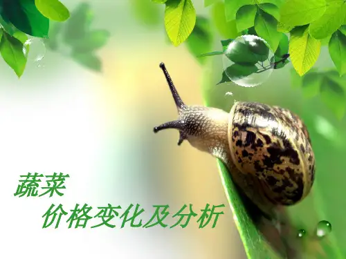 蔬菜价格变化及分析