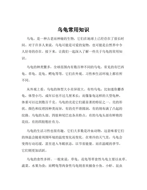 乌龟常用知识