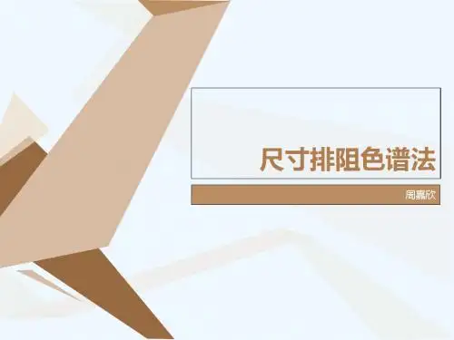 尺寸排阻色谱法