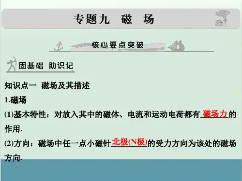 高中物理高考 高考物理一轮复习专题课件 专题9+磁场(全国通用)