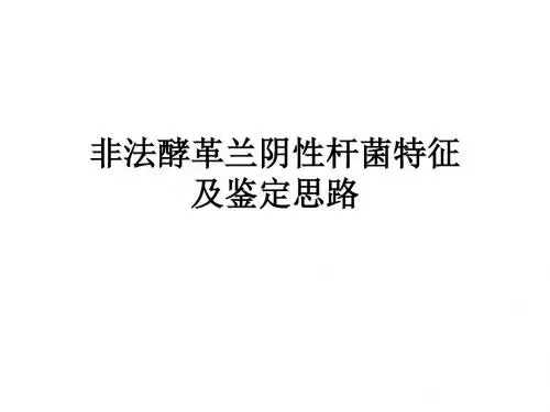 非法酵菌鉴定