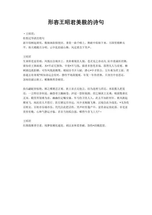 形容王昭君美貌的诗句