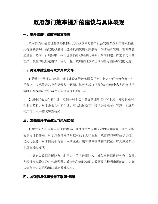 政府部门效率提升的建议与具体表现