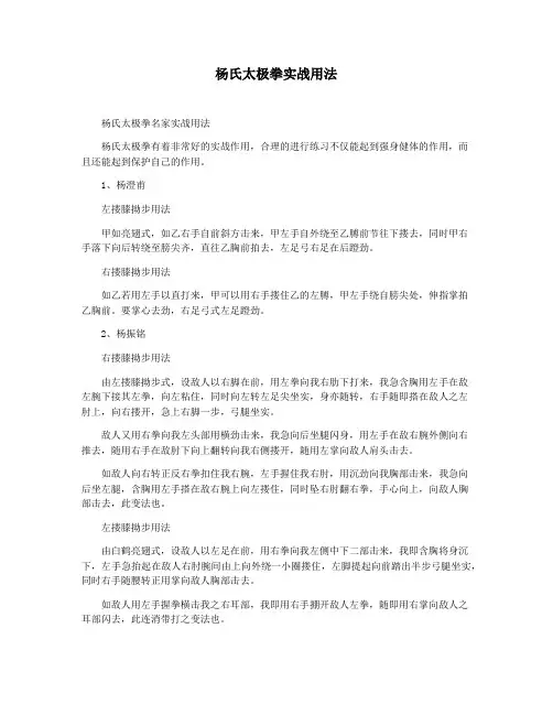 杨氏太极拳实战用法