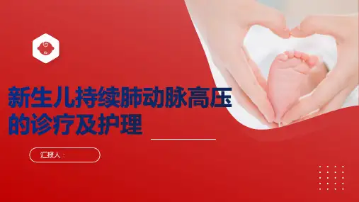 NO吸入治疗PPHN的护理