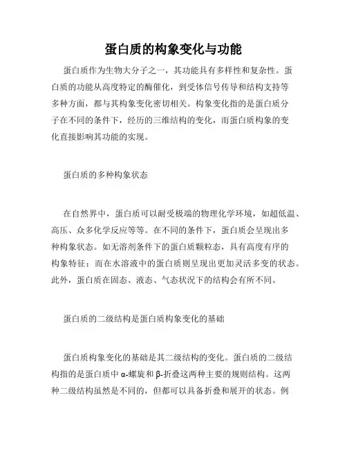 蛋白质的构象变化与功能