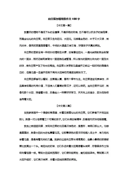 向日葵种植观察作文400字