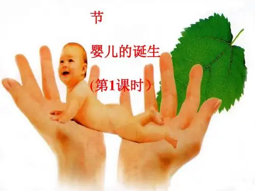 婴儿的诞生PPT课件7