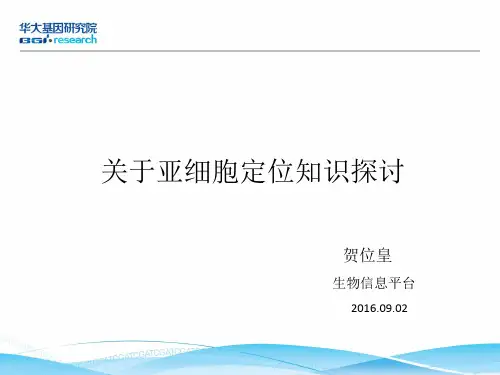 亚细胞定位