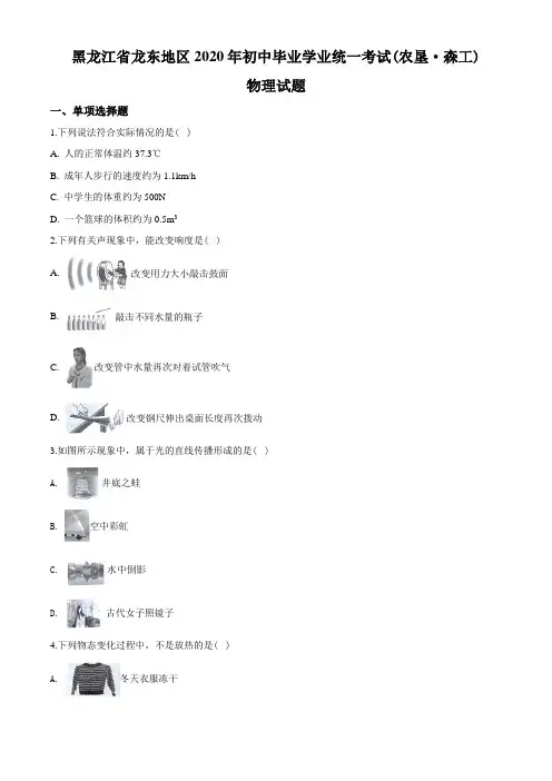 2020年黑龙江省龙东地区中考物理试题(学生版)