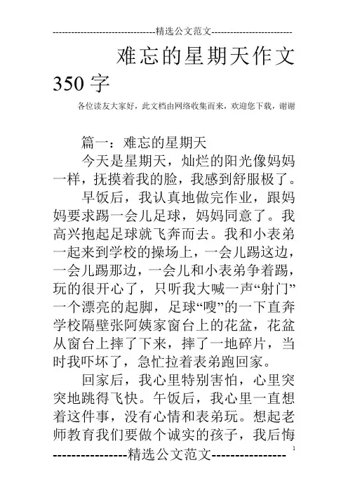 难忘的星期天作文350字