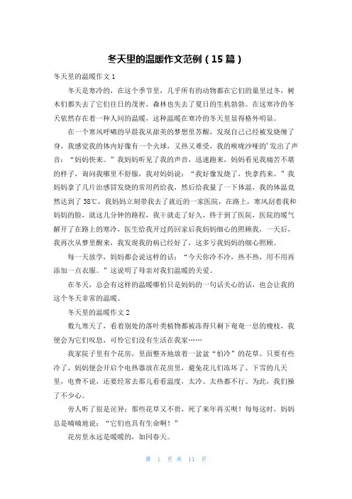 冬天里的温暖作文范例(15篇)