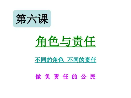 九年级政治角色与责任1