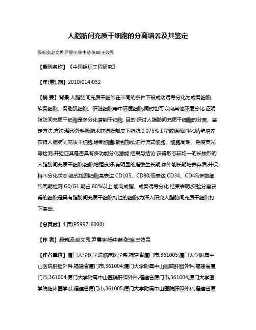 人脂肪间充质干细胞的分离培养及其鉴定