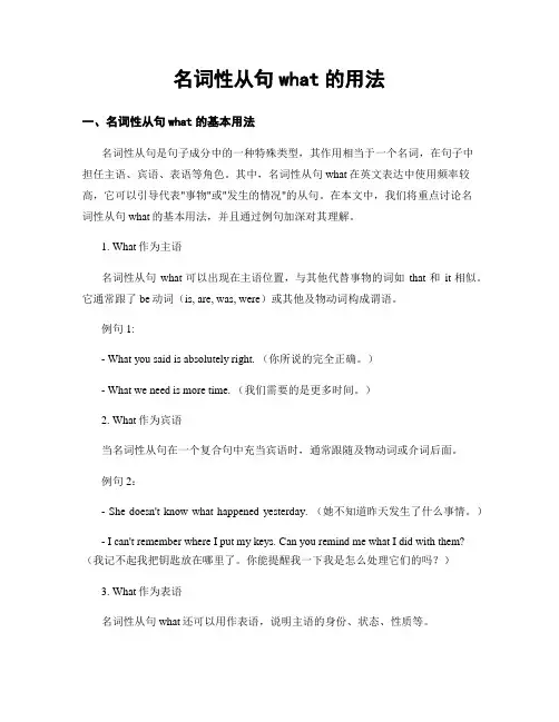名词性从句what的用法 (2)