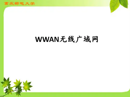 无线广域网WWAN