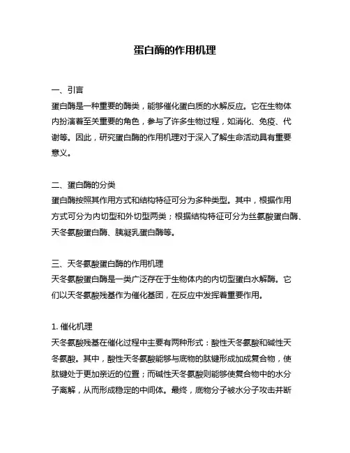 蛋白酶的作用机理