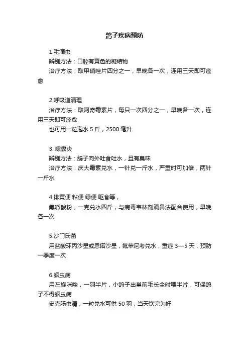 鸽子疾病预防