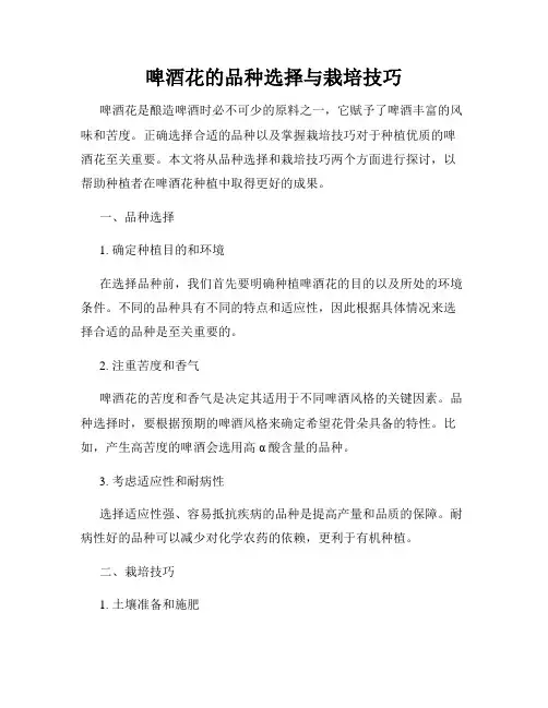 啤酒花的品种选择与栽培技巧