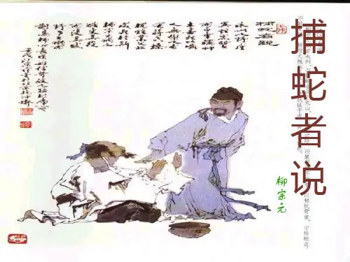 捕蛇者说PPT教学课件