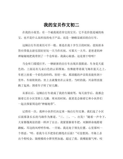 我的宝贝作文初二