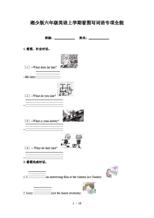 湘少版六年级英语上学期看图写词语专项全能
