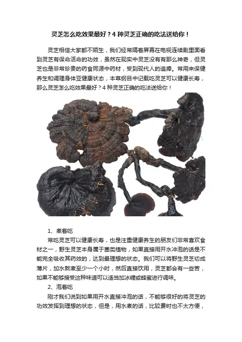 灵芝怎么吃效果最好？4种灵芝正确的吃法送给你！