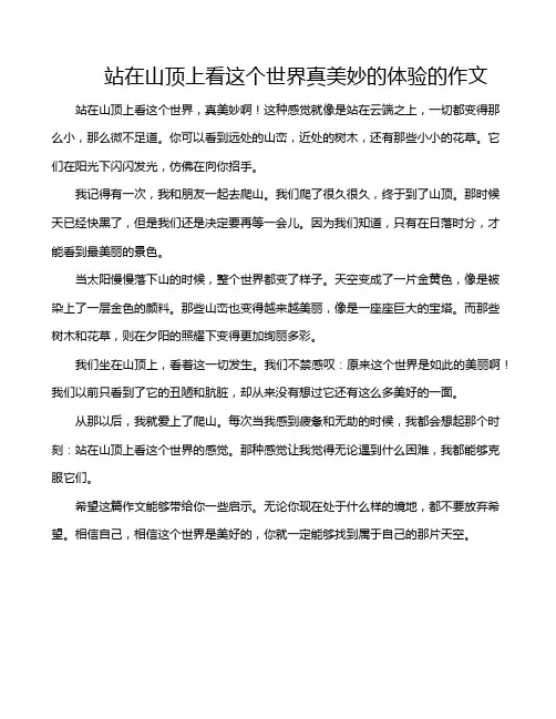 站在山顶上看这个世界真美妙的体验的作文