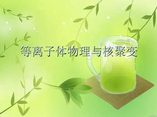 等离子体物理与核聚变优秀PPT