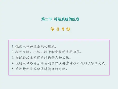 2020人教版七年级生物下册  4.6.2 神经系统的组成