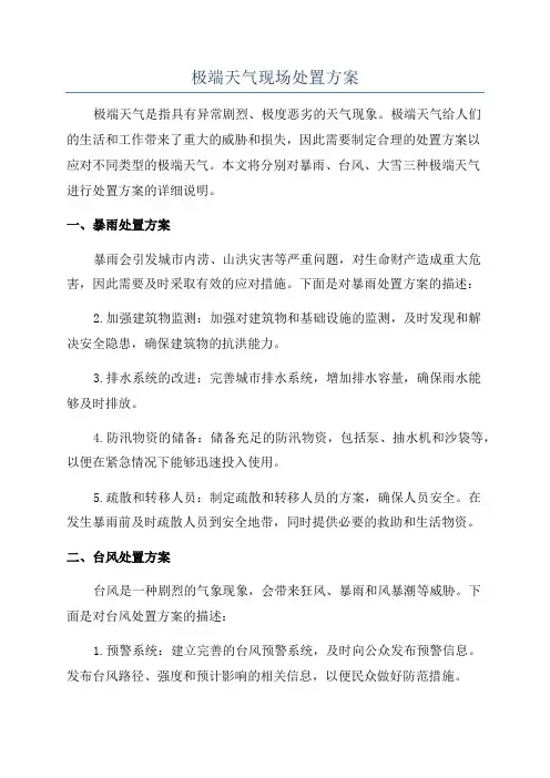 极端天气现场处置方案