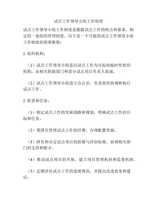 试点工作领导小组工作制度