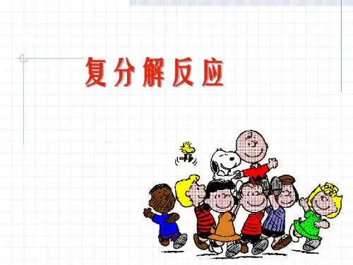 【初中化学】复分解反应PPT课件2 人教版