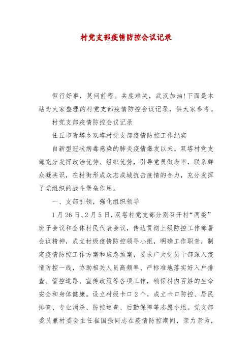 精编村党支部疫情防控会议记录(一)