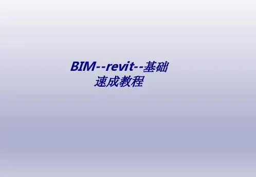 BIM--revit--基础速成教程专题培训课件