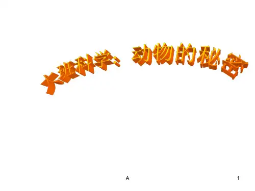 大班科学：动物的秘密