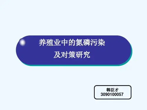 养殖业中的氮磷污染及对策研究.ppt