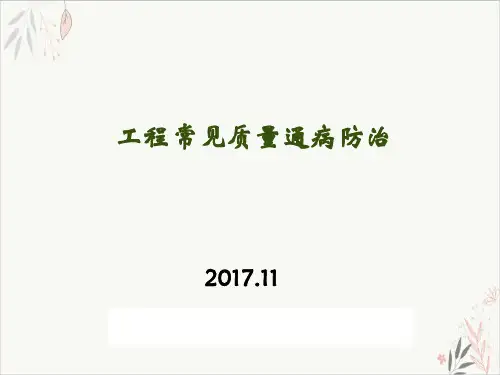 工程常见质量通病防治培训ppt(107张)可编辑全文