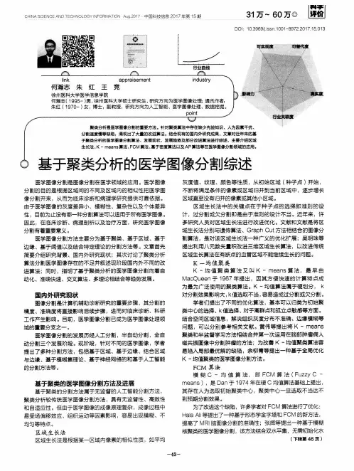 基于聚类分析的医学图像分割综述