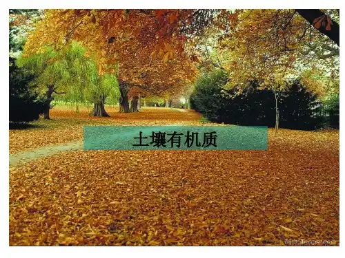 《土壤有机质》PPT课件