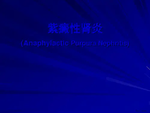 过敏性紫癜性肾炎PPT课件