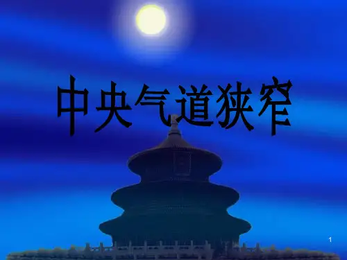 中央气道狭窄PPT课件