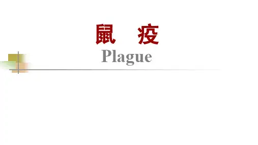 传染病学-鼠疫